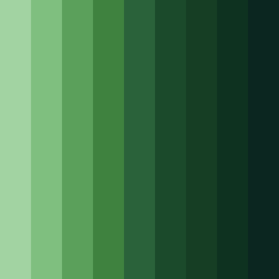 Download green wet forest color palette PNG image (square)