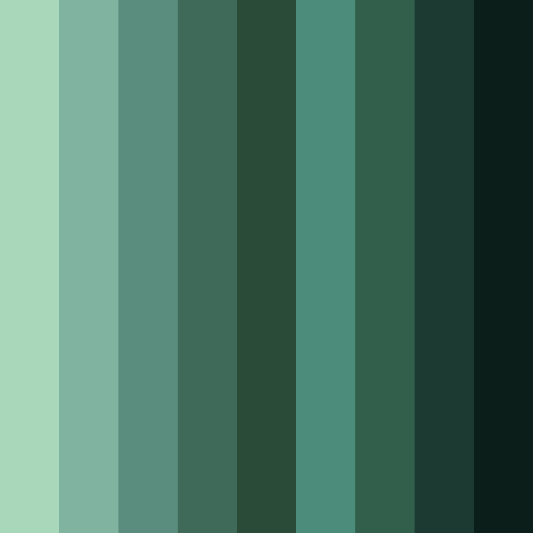 Download forest green color palette PNG image (square)