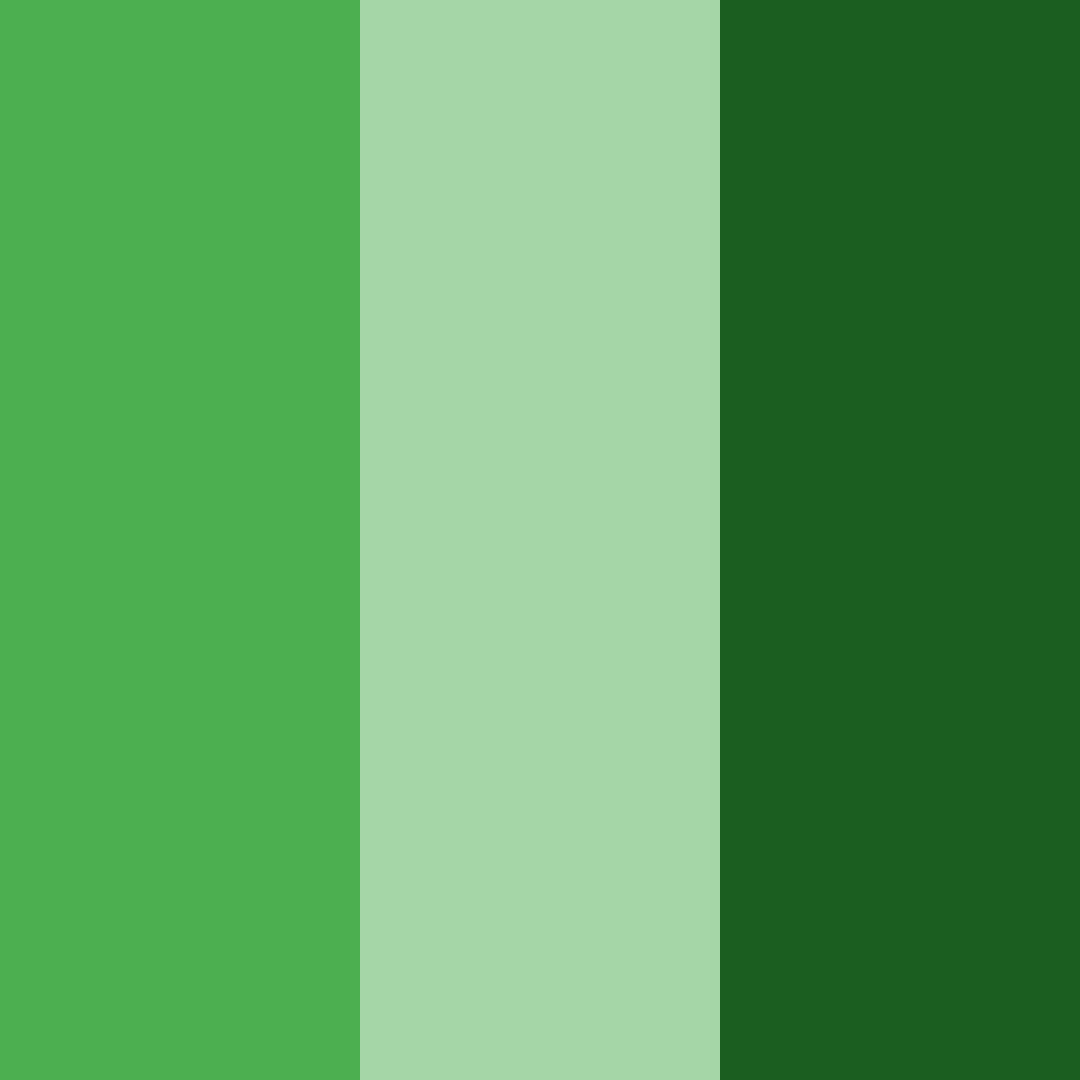 Download emerald haven color palette PNG image (square)