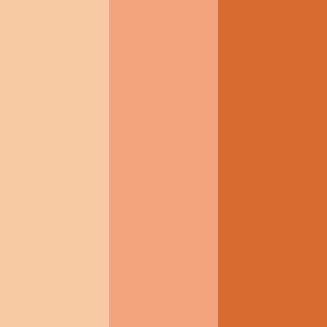 Download sunset harvest color palette PNG image (square)