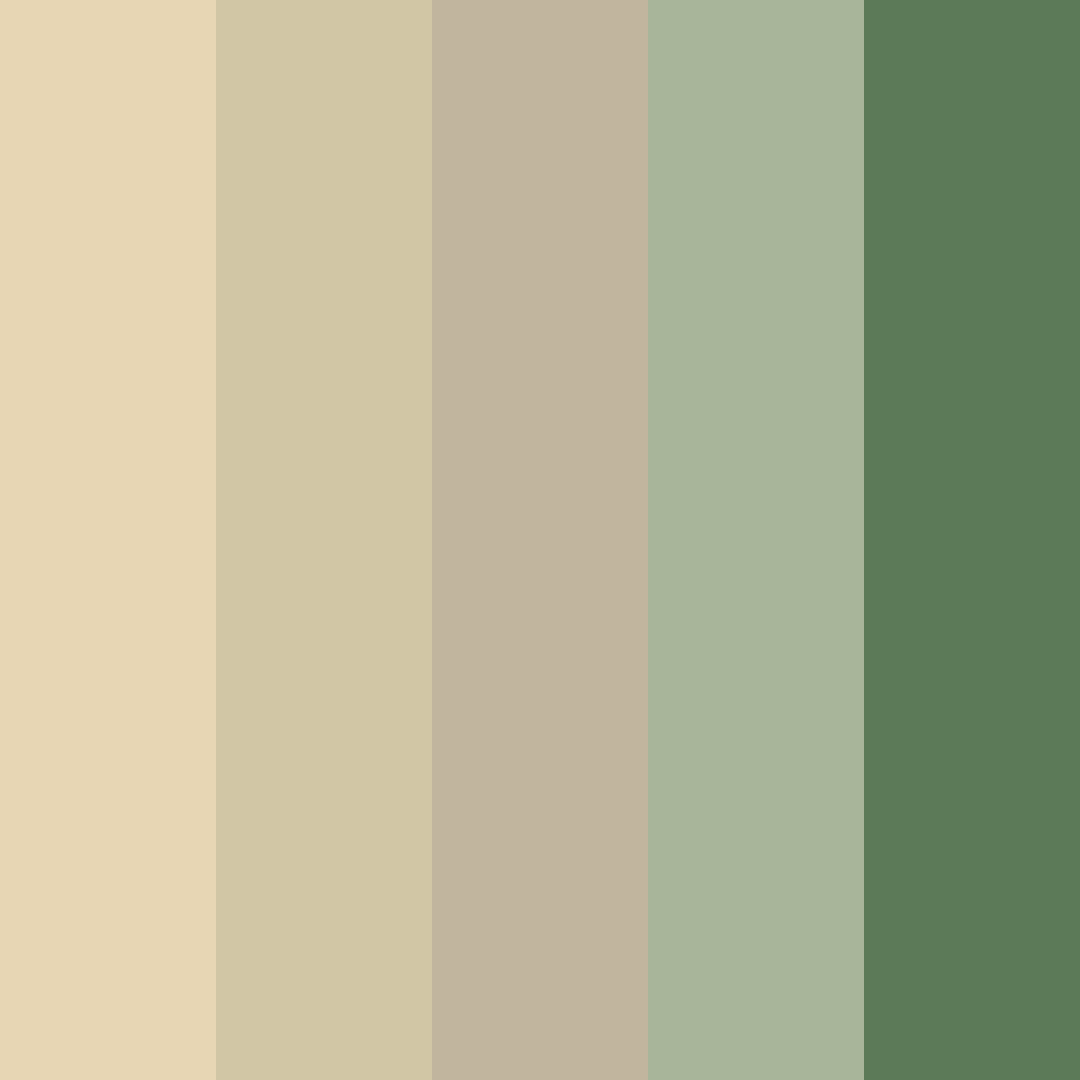 Download sage and sand color palette PNG image (square)
