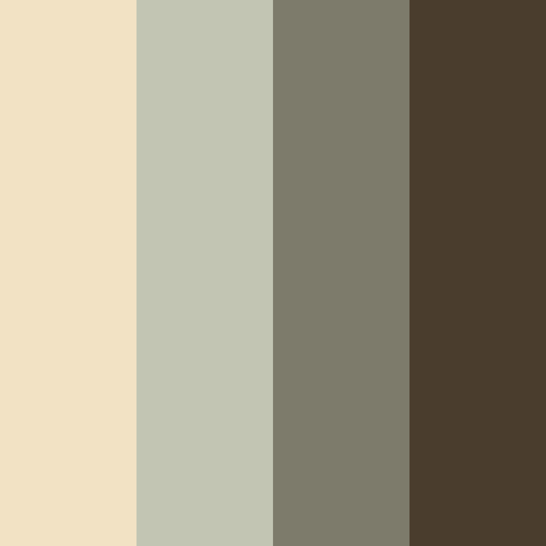 Download warm olive color palette PNG image (square)