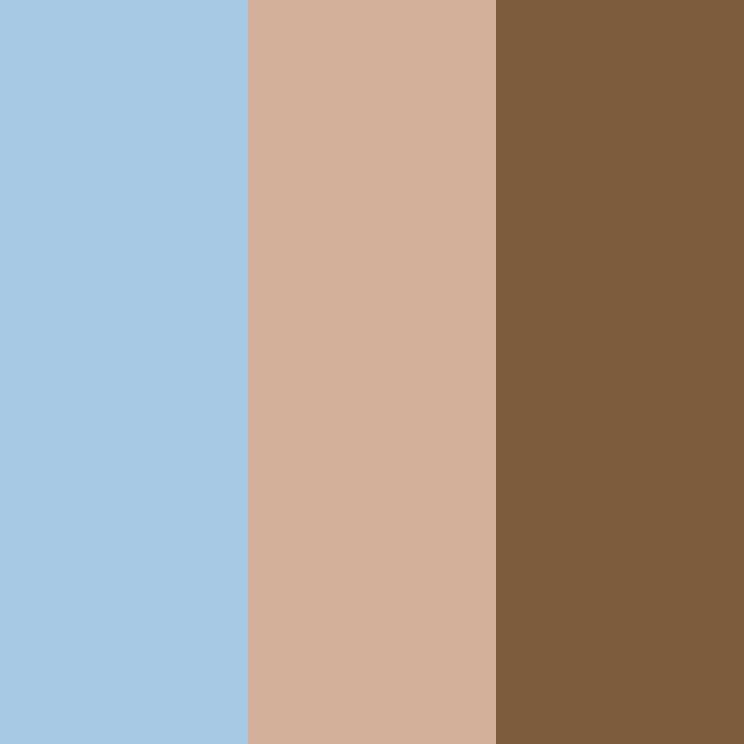 Download skyward grounding color palette PNG image (square)
