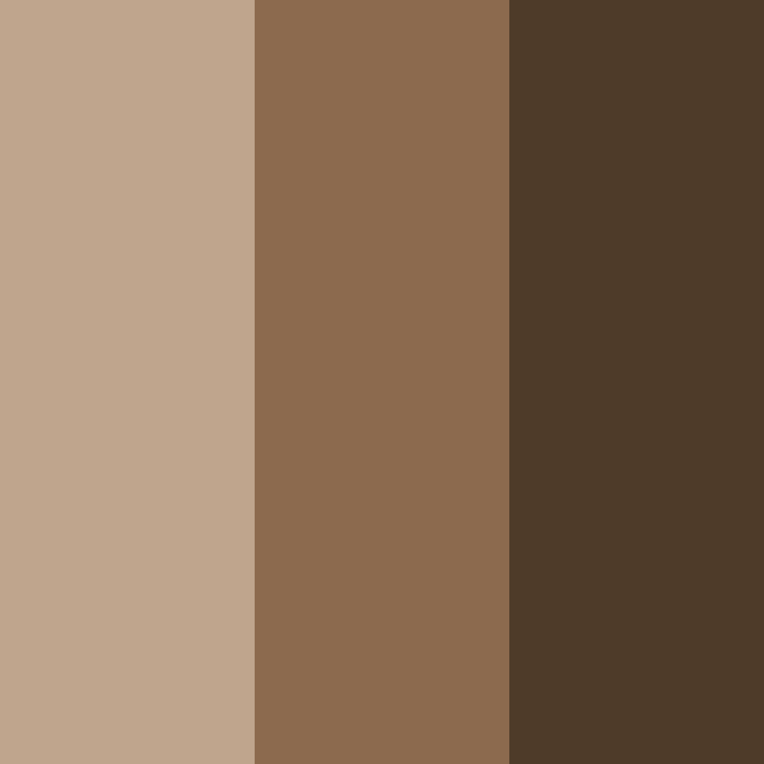 Download earthy brown color palette PNG image (square)
