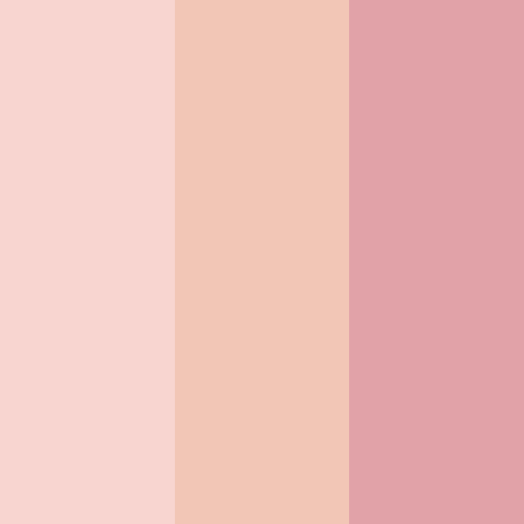 Download blush & biscotti color palette PNG image (square)