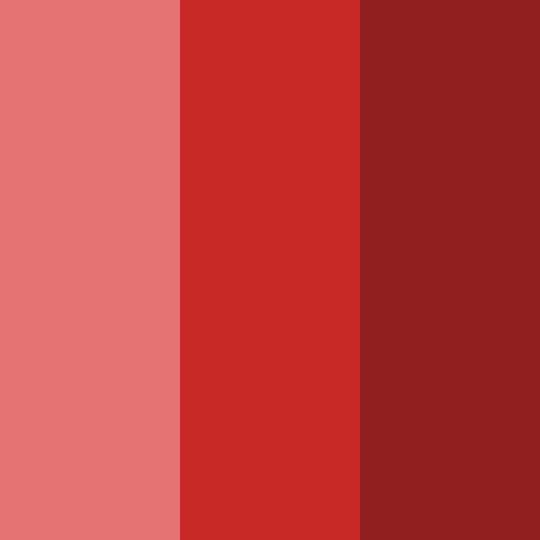 Download dark red color palette PNG image (square)
