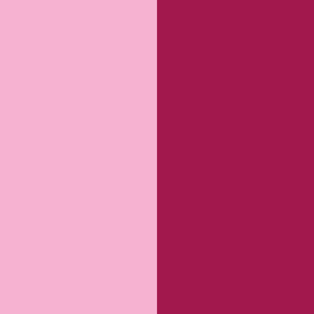 Download blushing rose dream color palette PNG image (square)