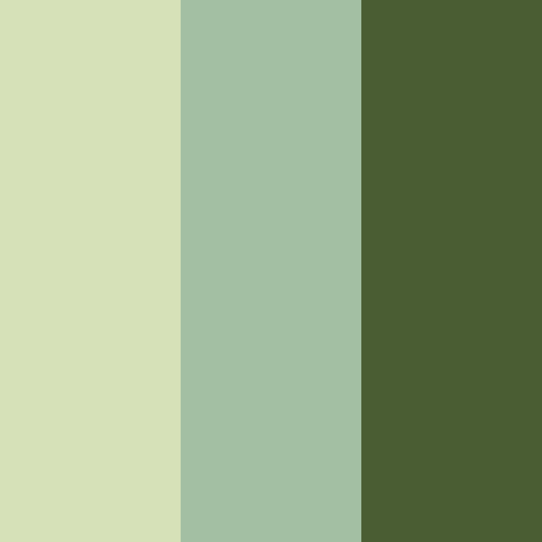 Download serene olive grove color palette PNG image (square)