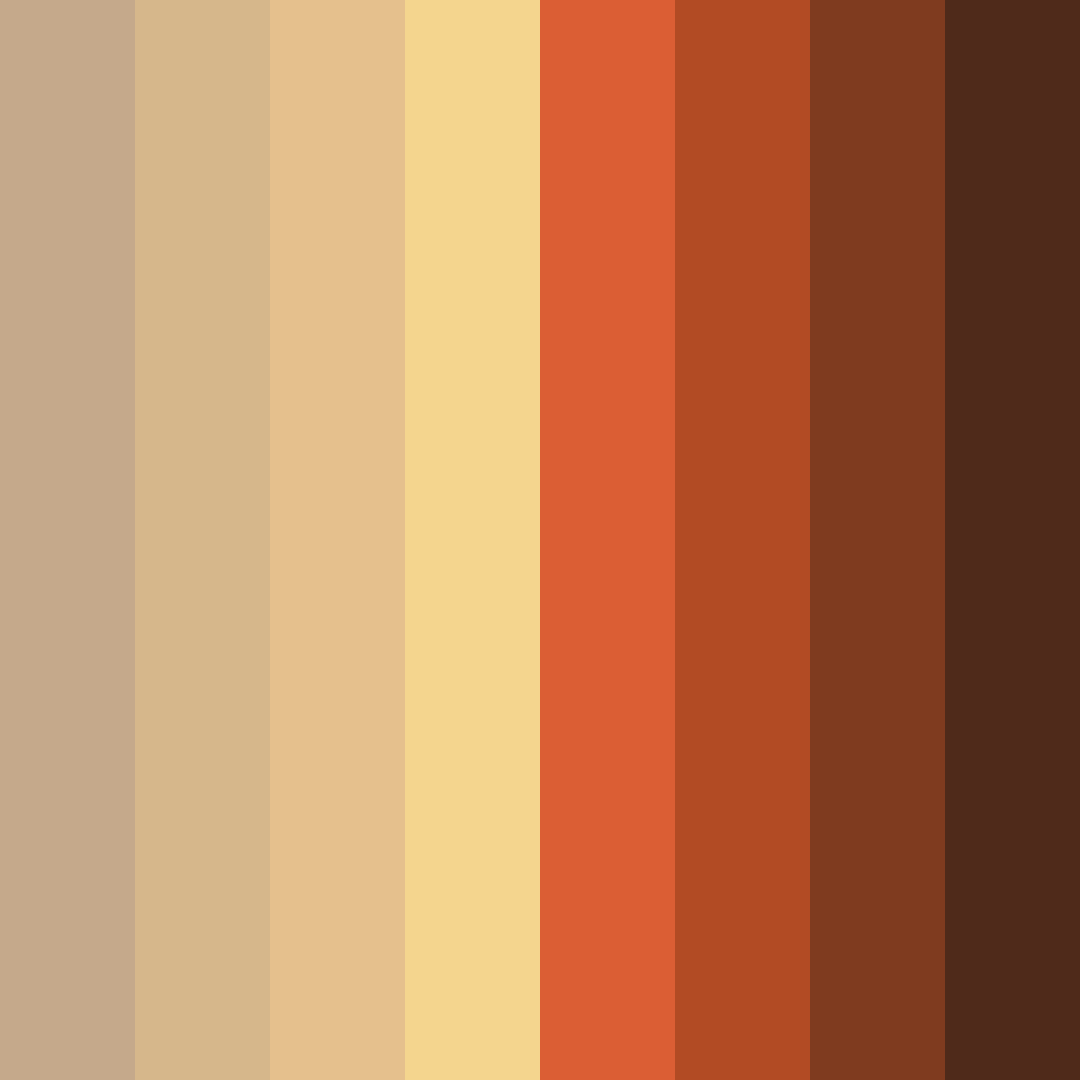 Download brown ducati color palette PNG image (square)