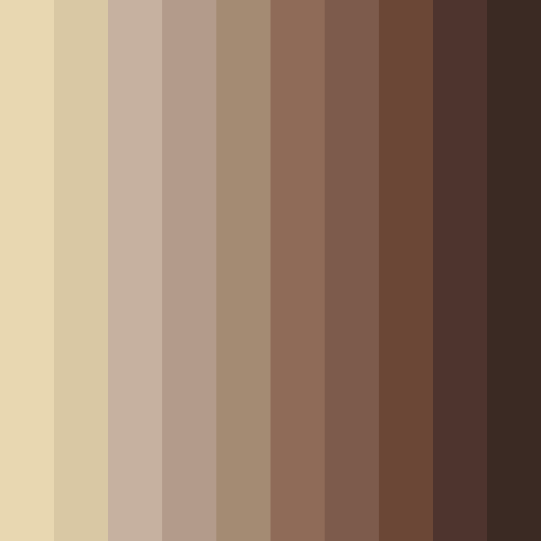 Download desert earthtones color palette PNG image (square)