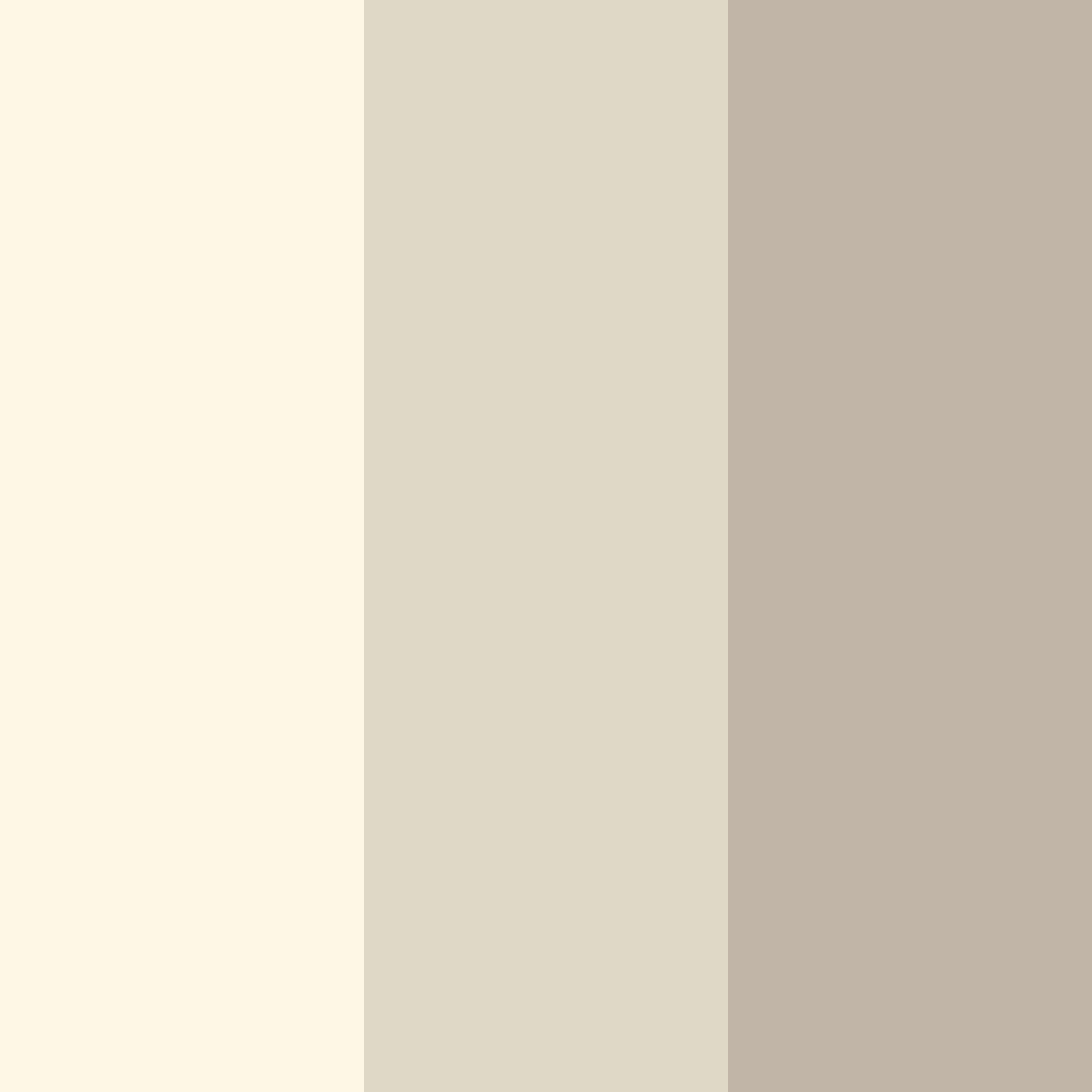 Download light beige color palette PNG image (square)