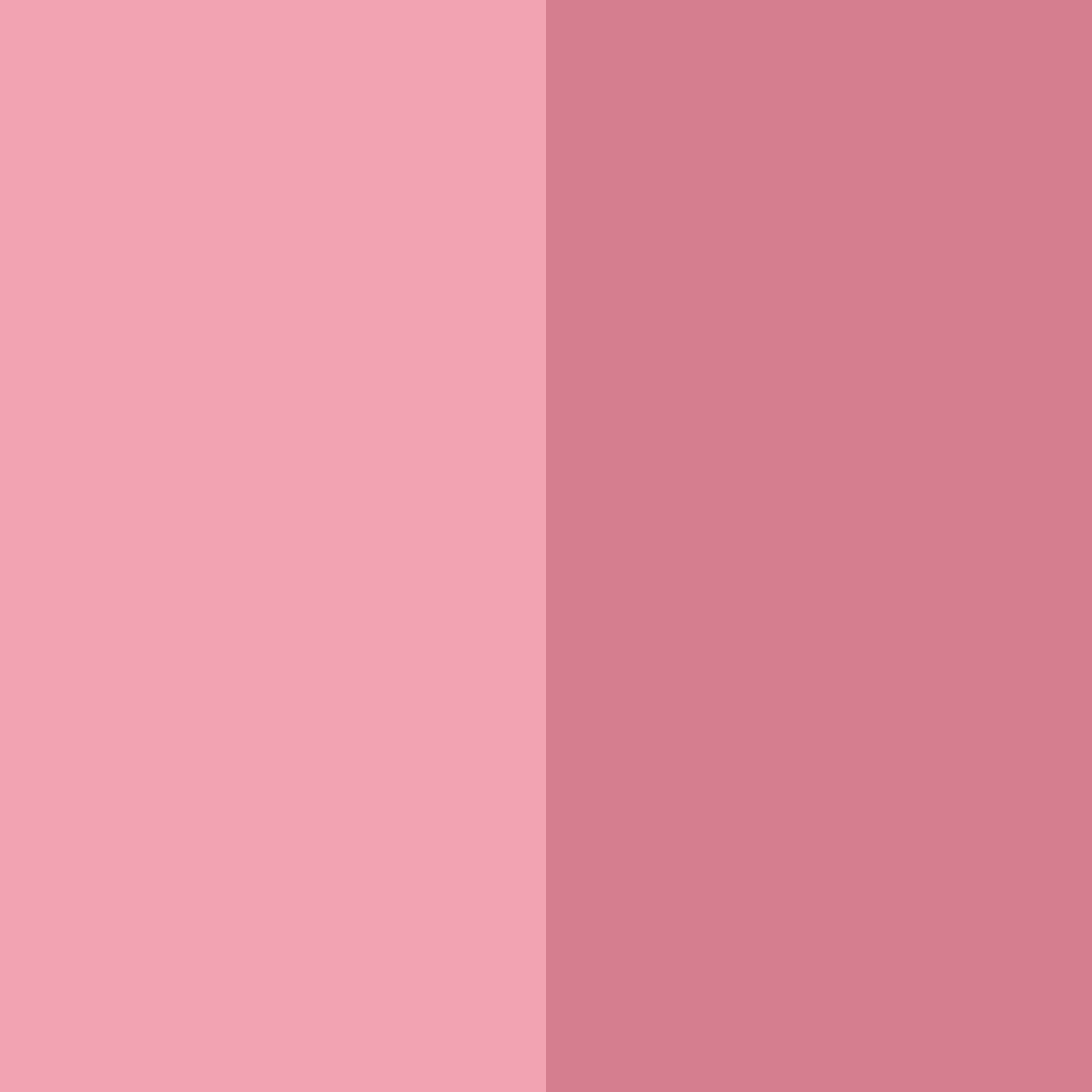 Download dusty pink rose color palette PNG image (square)