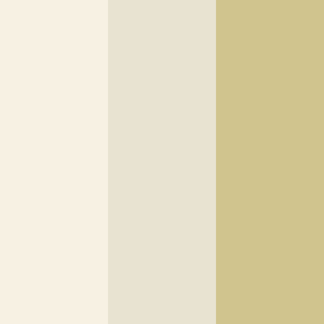 Download soft creamy lemon color palette PNG image (square)
