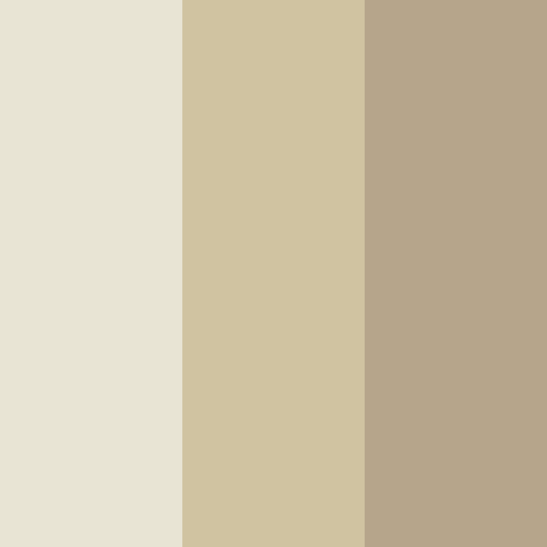 Download soft beige color palette PNG image (square)