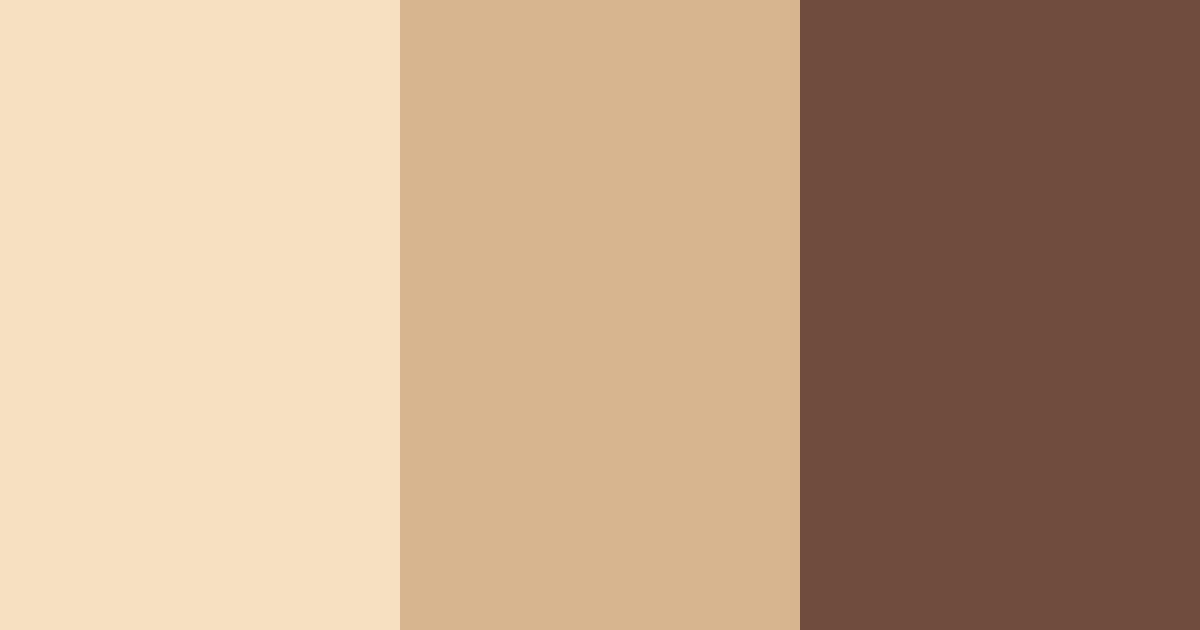 Download chocolate delight color palette PNG image (landscape)