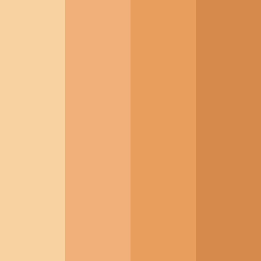 Download muted peach color palette PNG image (square)