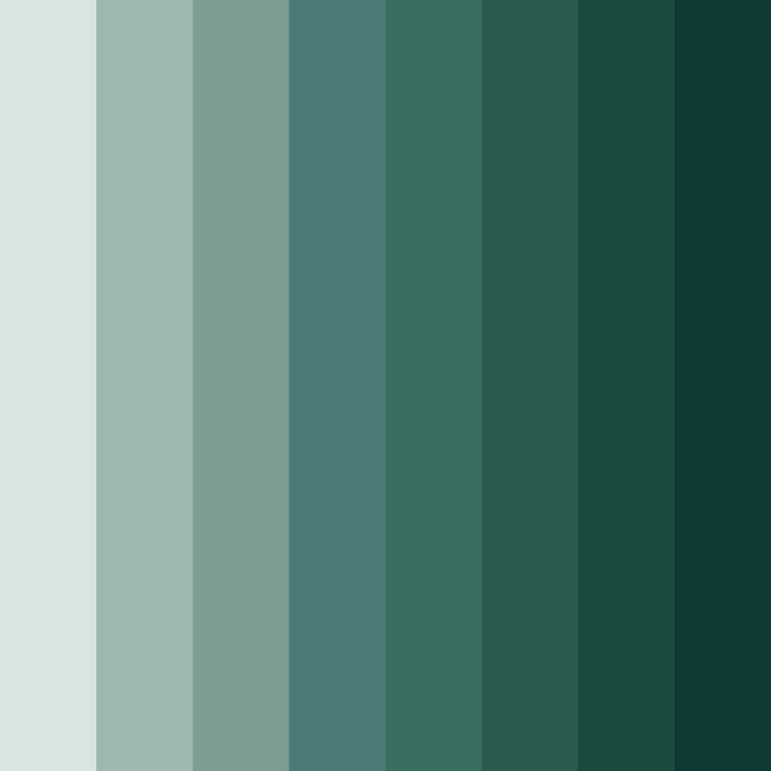 Download misty forest elegance color palette PNG image (square)