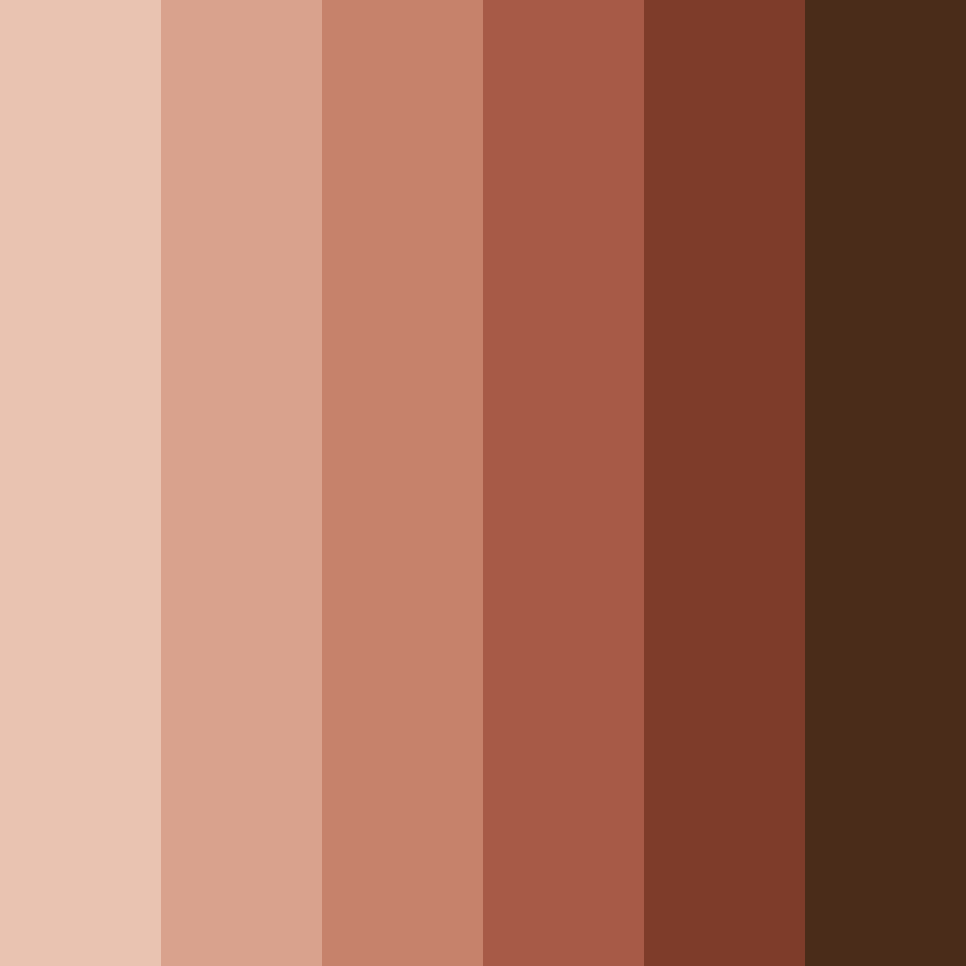 Download brown chocolate color palette PNG image (square)