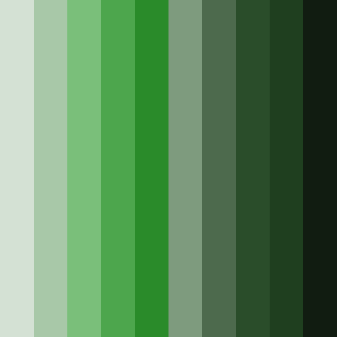 Download whispers of the forest color palette PNG image (square)