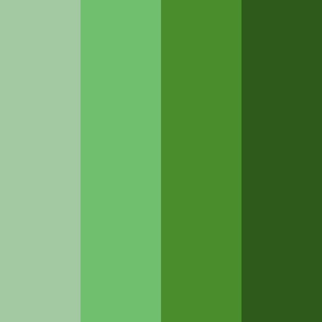 Download verdant symphony color palette PNG image (square)