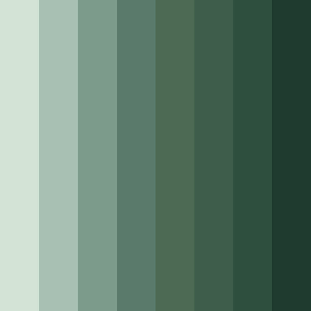 Download whispering forest color palette PNG image (square)