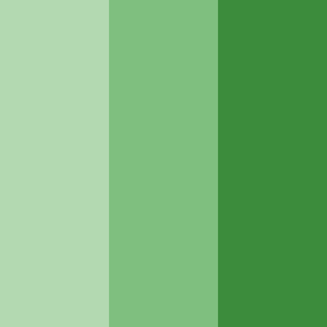 Download highland harmony color palette PNG image (square)