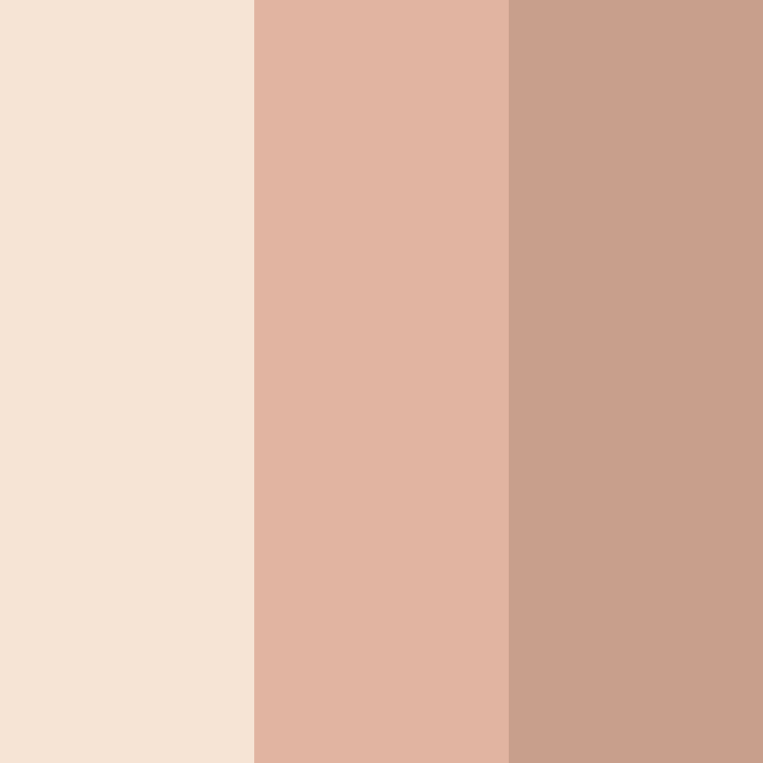 Download serene blush color palette PNG image (square)