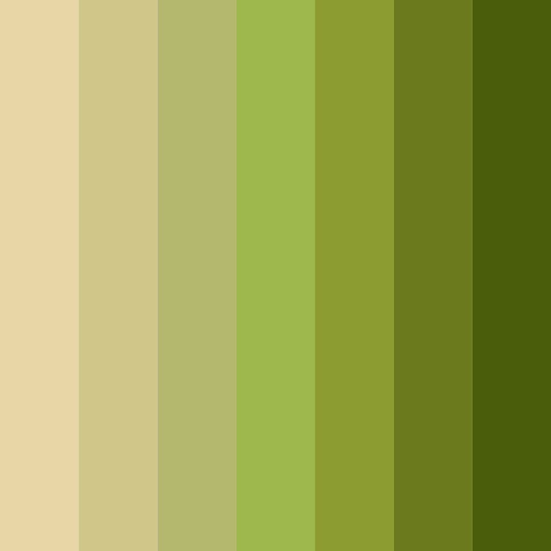 Download sunlit oasis color palette PNG image (square)