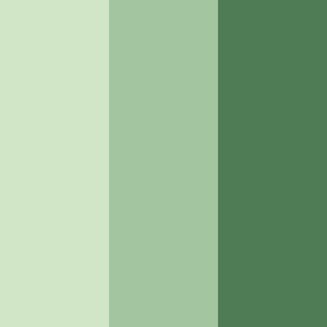 Download bamboo grove serenity color palette PNG image (square)