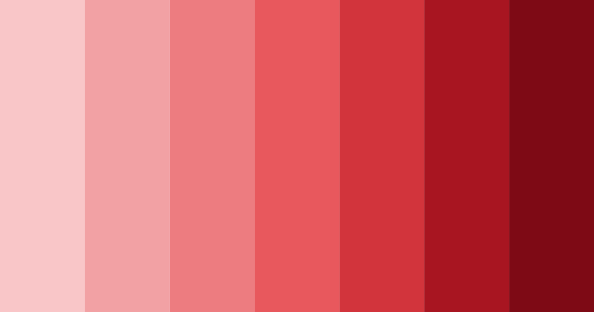 Download red shades color palette PNG image (landscape)