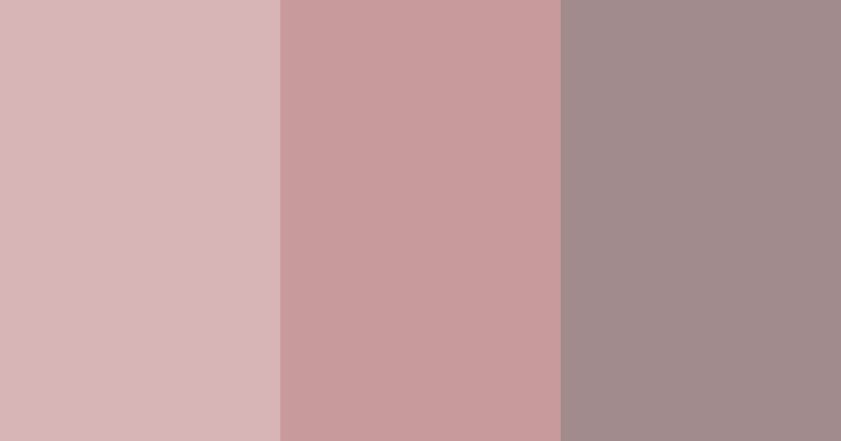 Download muted rosewood color palette PNG image (landscape)