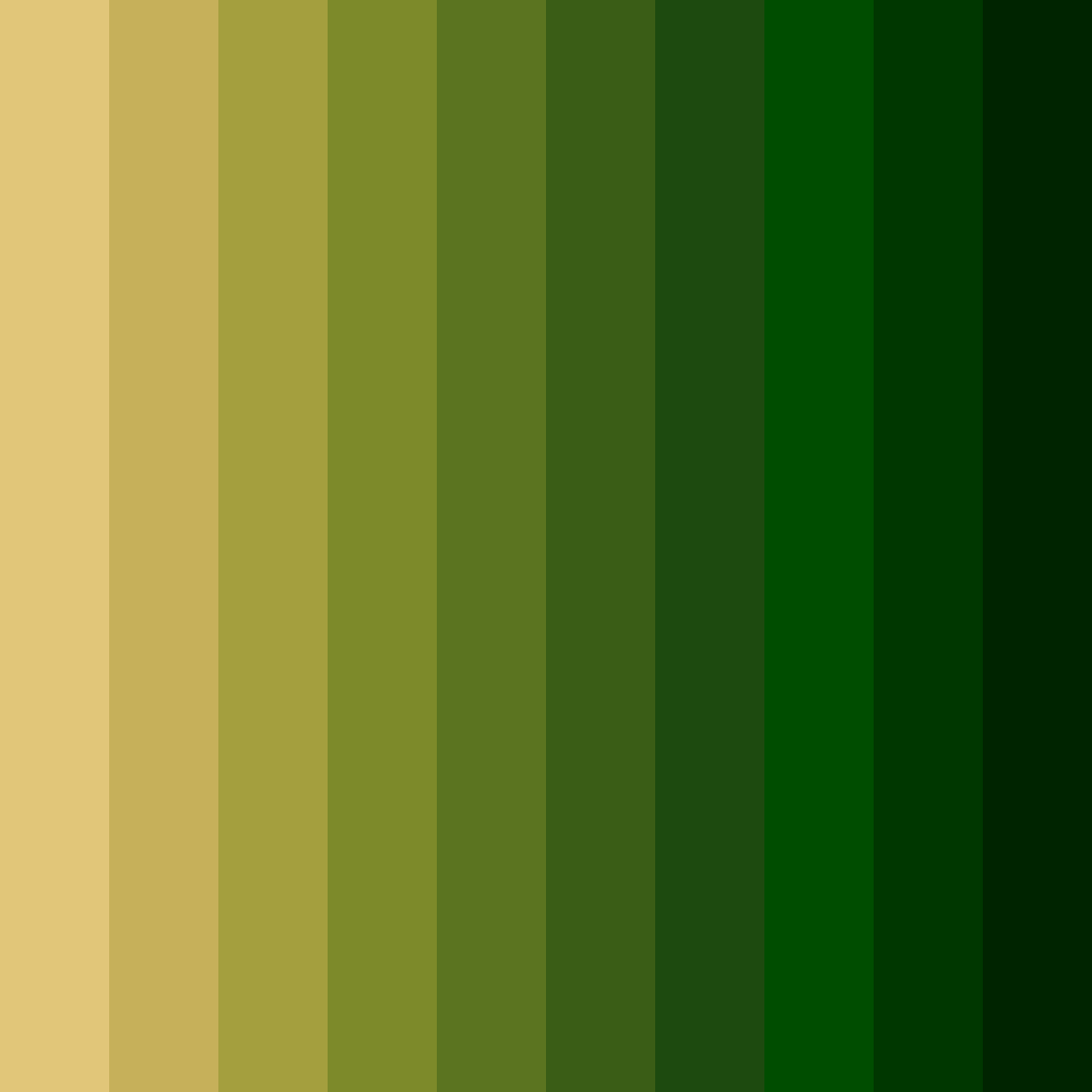 Download emerald gold forest color palette PNG image (square)
