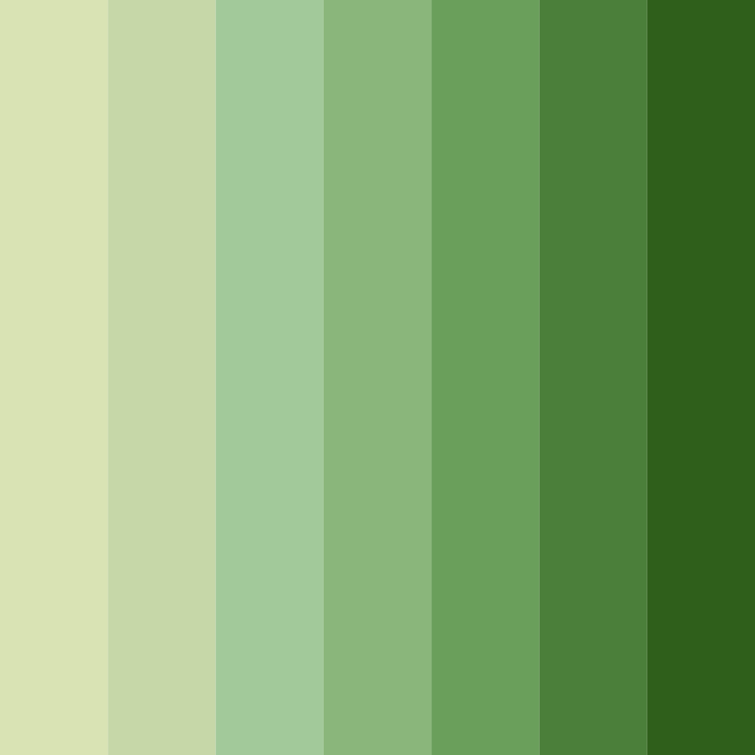 Download tranquil greenery color palette PNG image (square)