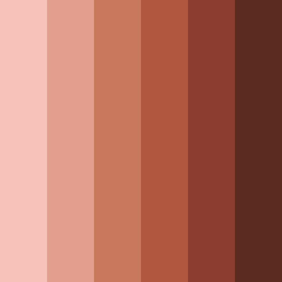 Download terracotta shades color palette PNG image (square)