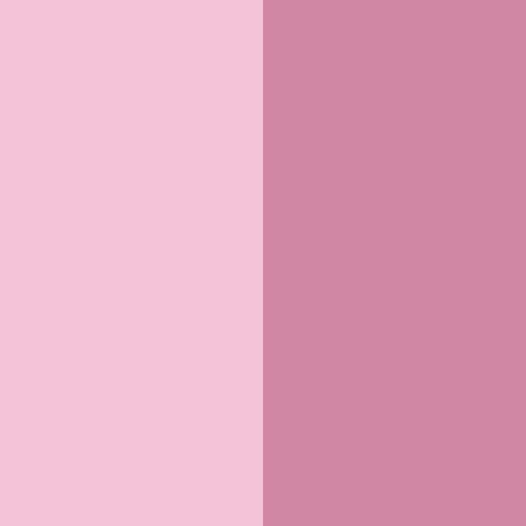 Download powdery pink shades color palette PNG image (square)