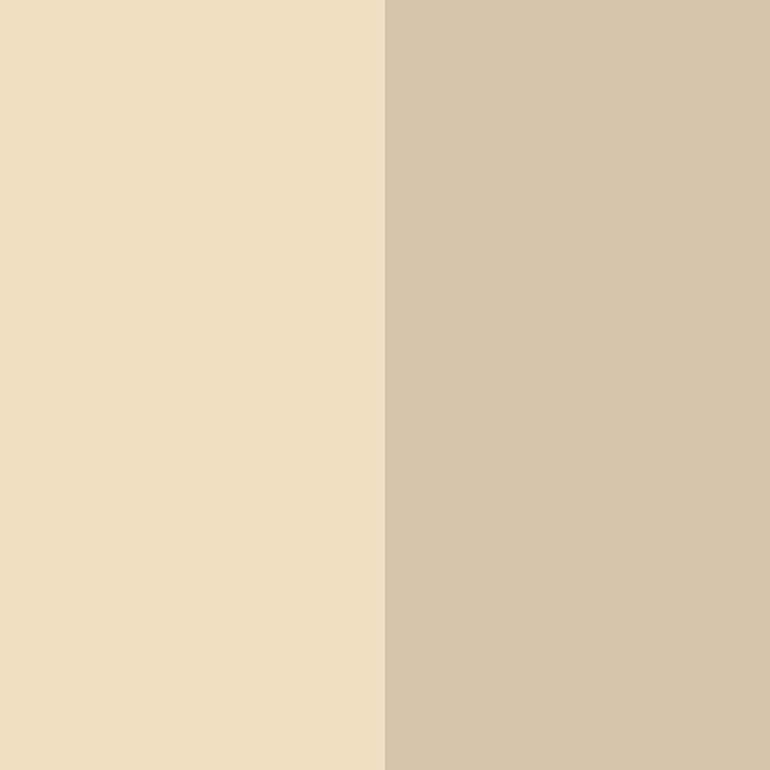 Download ecru elegance color palette PNG image (square)