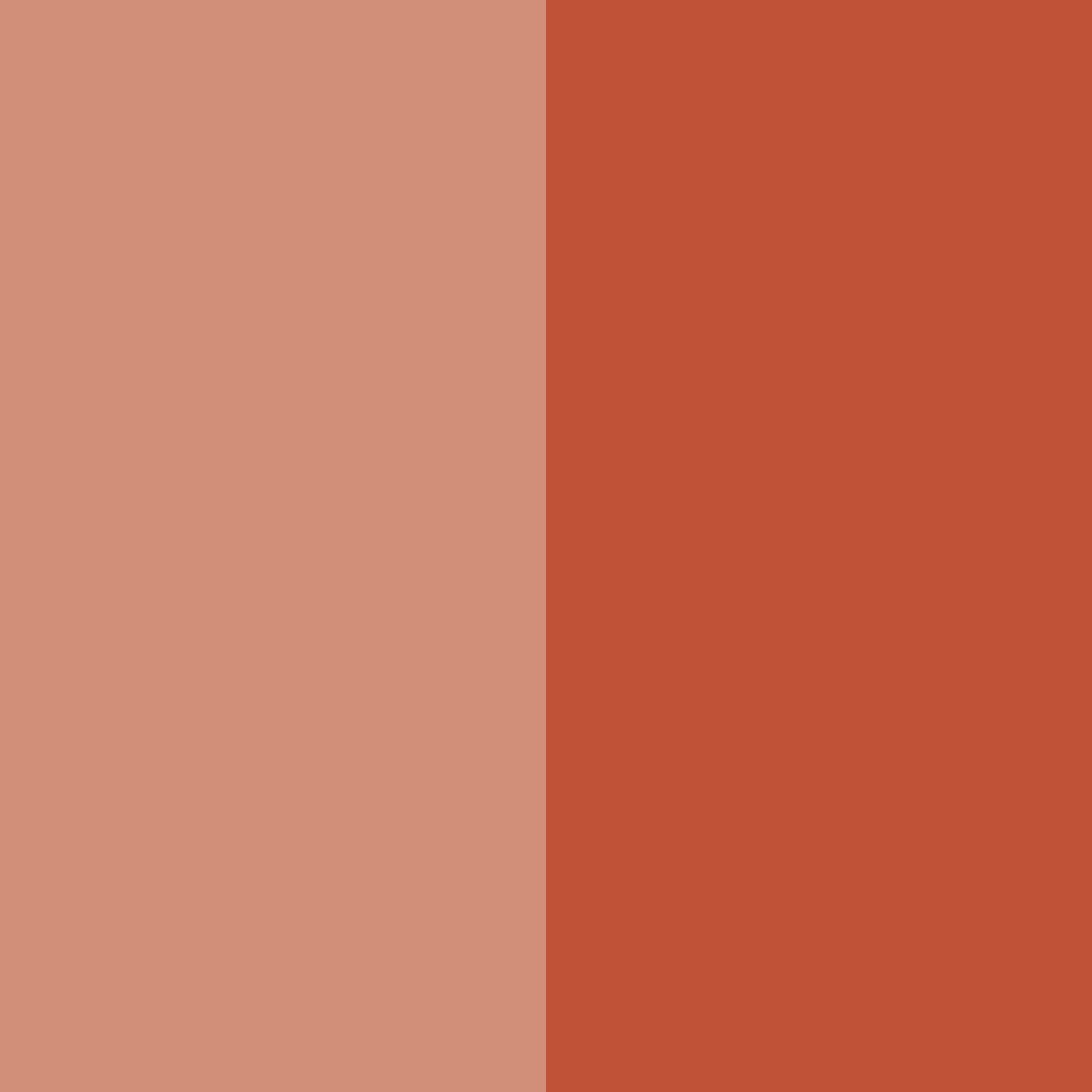 Download earthy ember color palette PNG image (square)