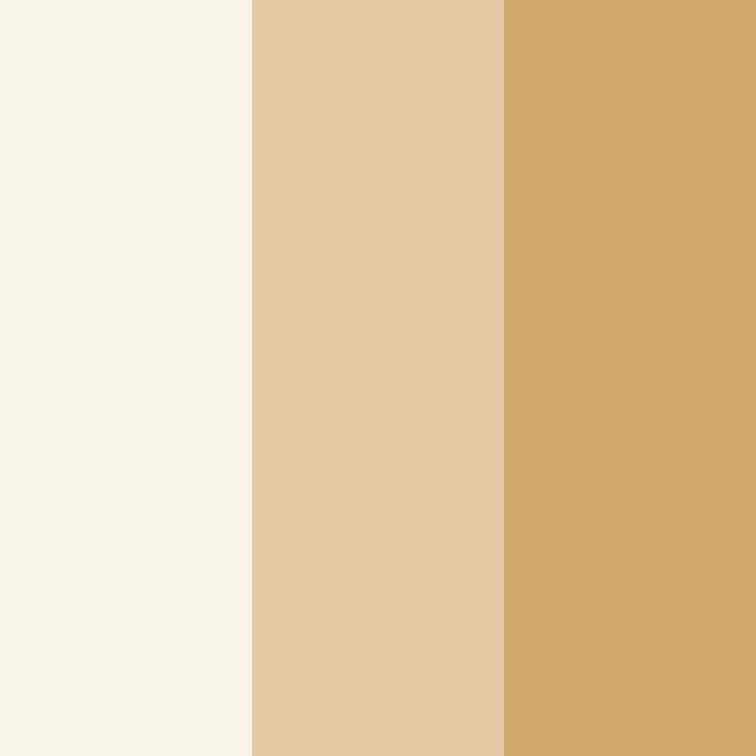 Download light beige color palette PNG image (square)