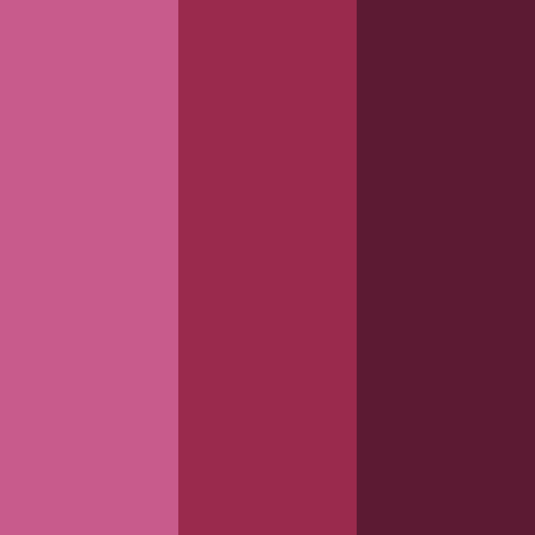 Download crimson elegance color palette PNG image (square)