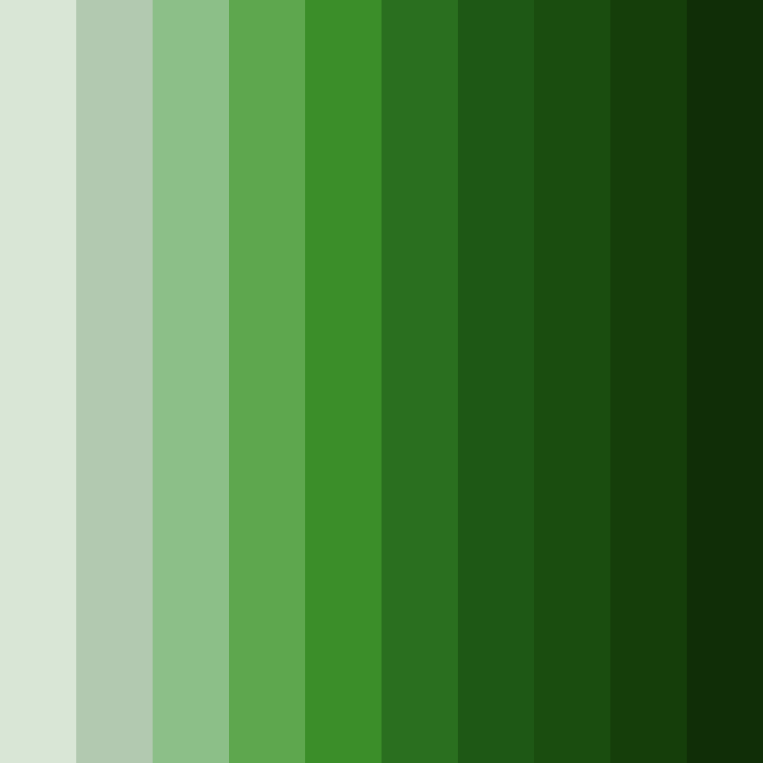 Download misty grove color palette PNG image (square)