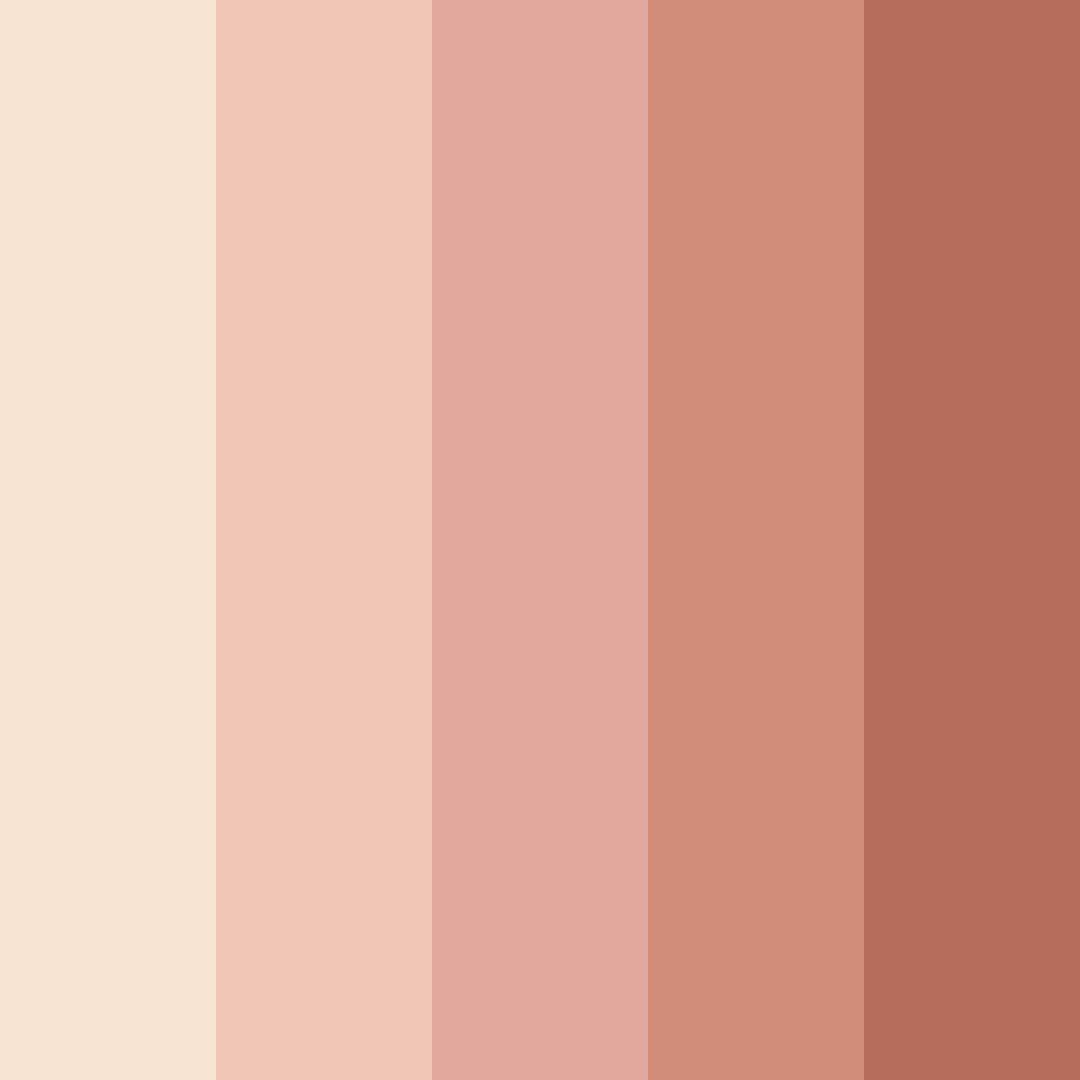 Download soft nude shades color palette PNG image (square)