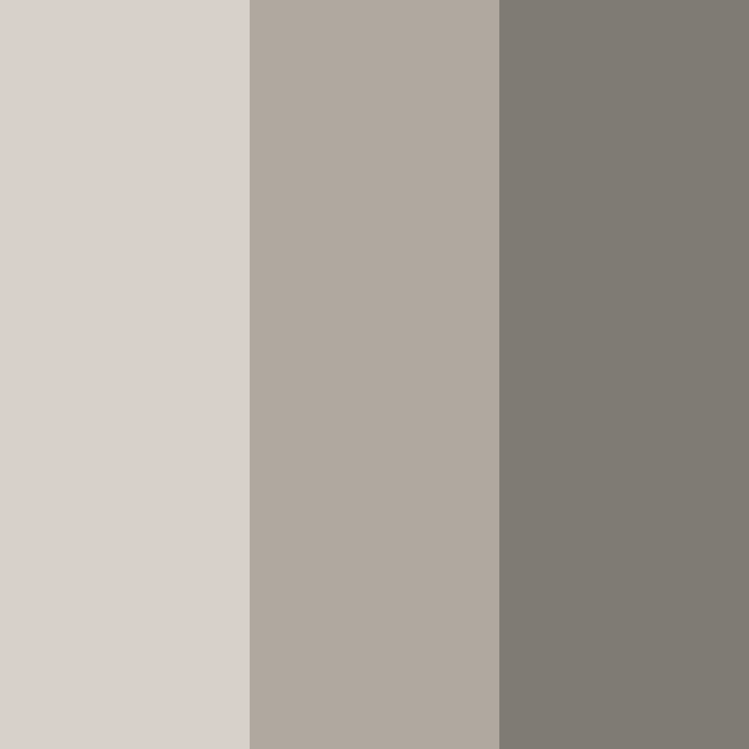 Download warm grey shades color palette PNG image (square)