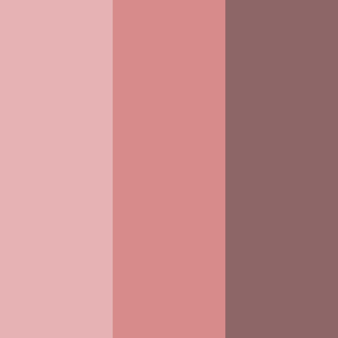 Download rosewood whisper color palette PNG image (square)