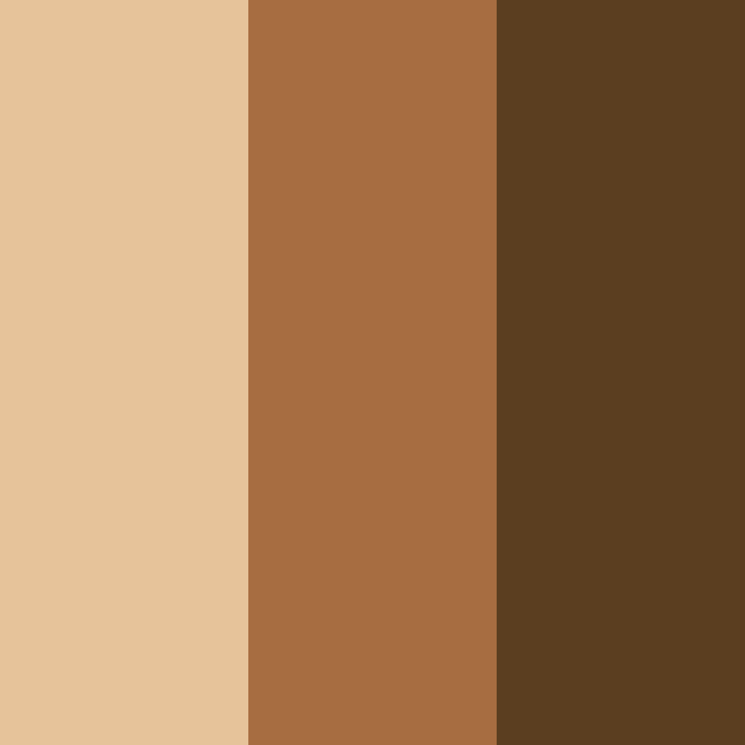 Download rustic elegance color palette PNG image (square)