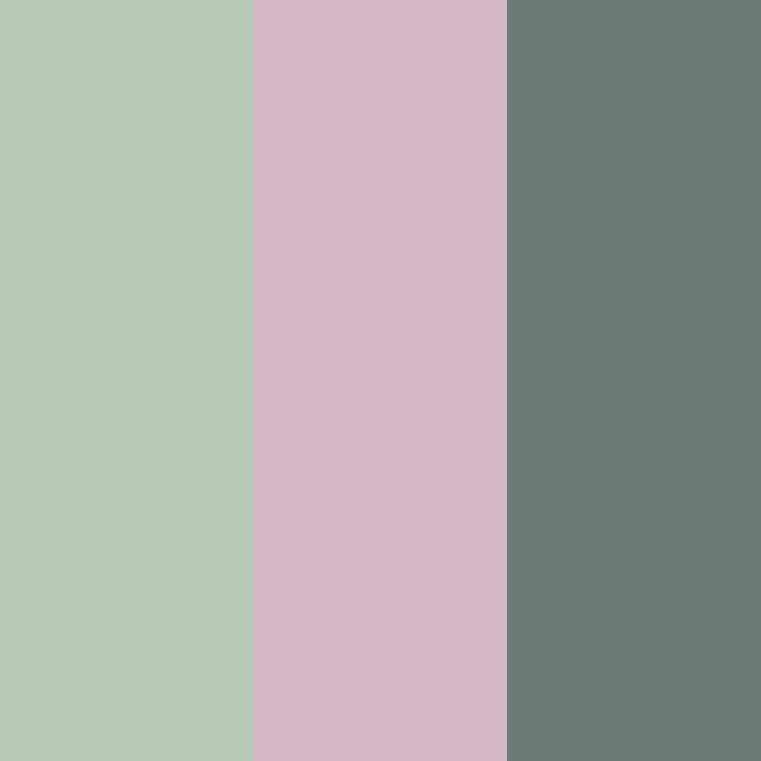 Download olive green dusty pink color palette PNG image (square)