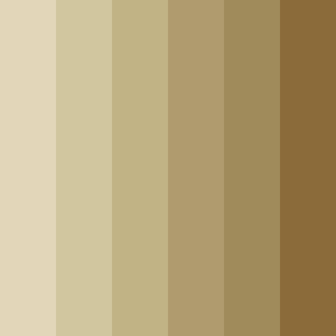 Download shades of brown color palette PNG image (square)