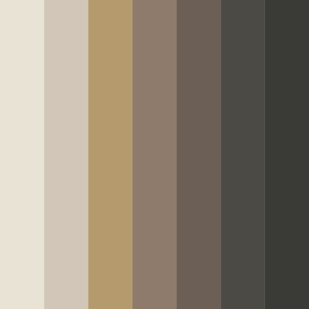 Download earthy brown color palette PNG image (square)