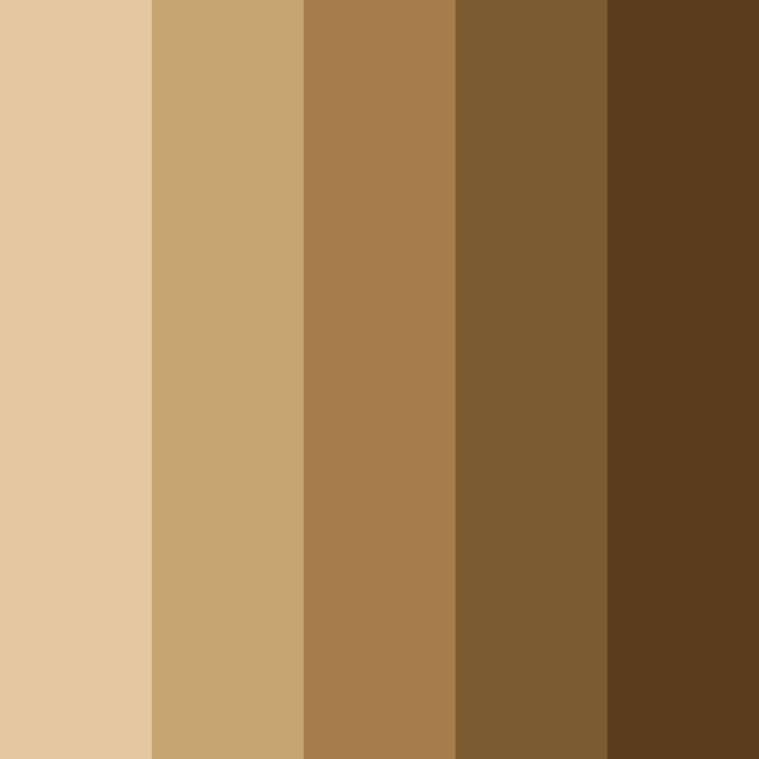 Download pecan brown color palette PNG image (square)