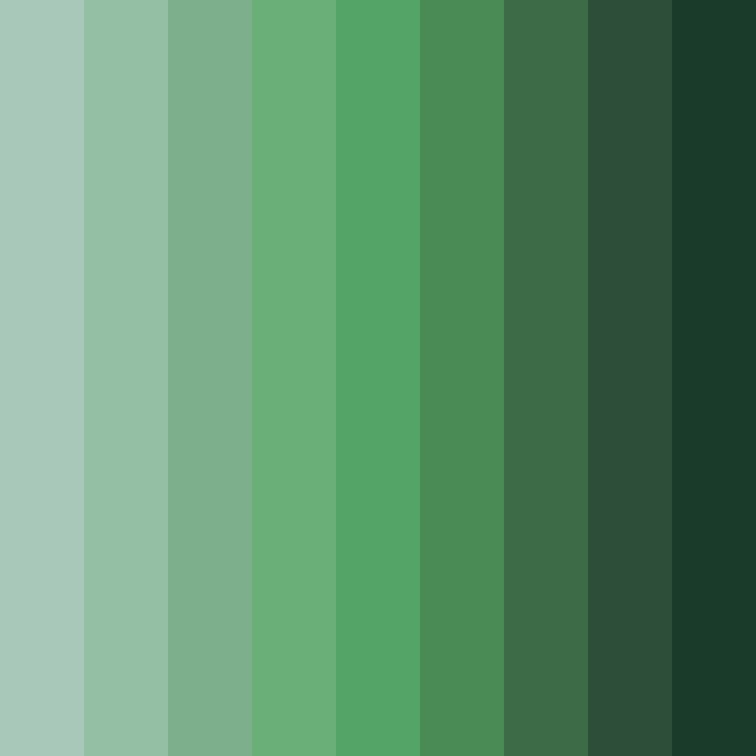 Download whispering grove color palette PNG image (square)