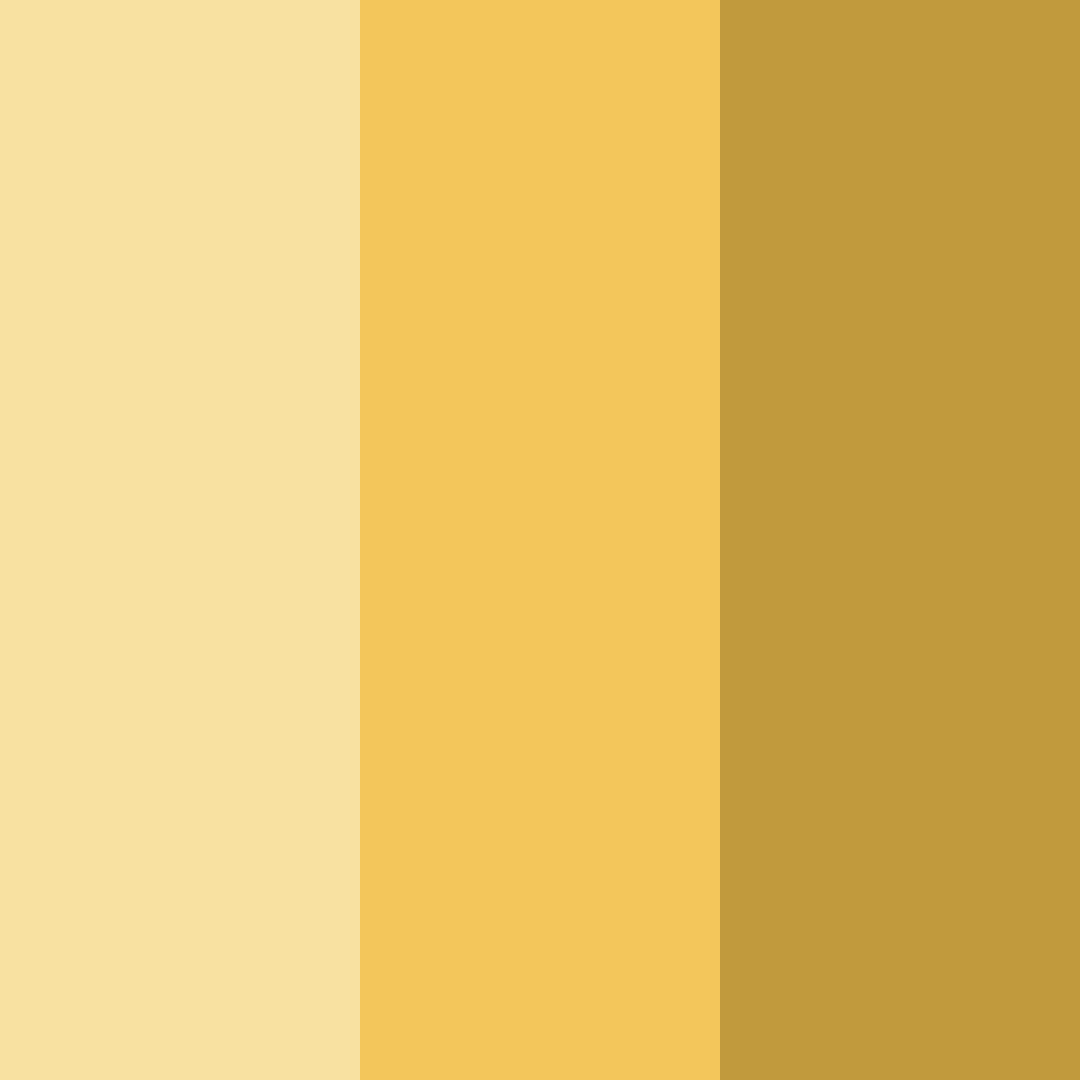 Download golden cheese color palette PNG image (square)